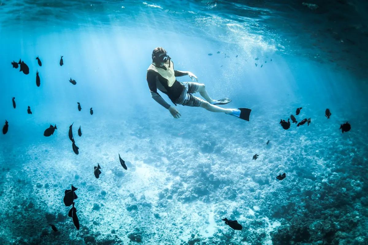 Your First Reef Snorkel: A Beginner's Guide to Gear, Buoyancy and Reef-Safe Technique